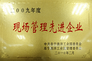 2009年度現場(chǎng)管理先進(jìn)企業(yè)